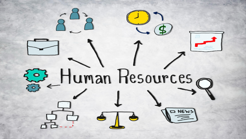 The Human Factor: HR Best Practices for Businesses